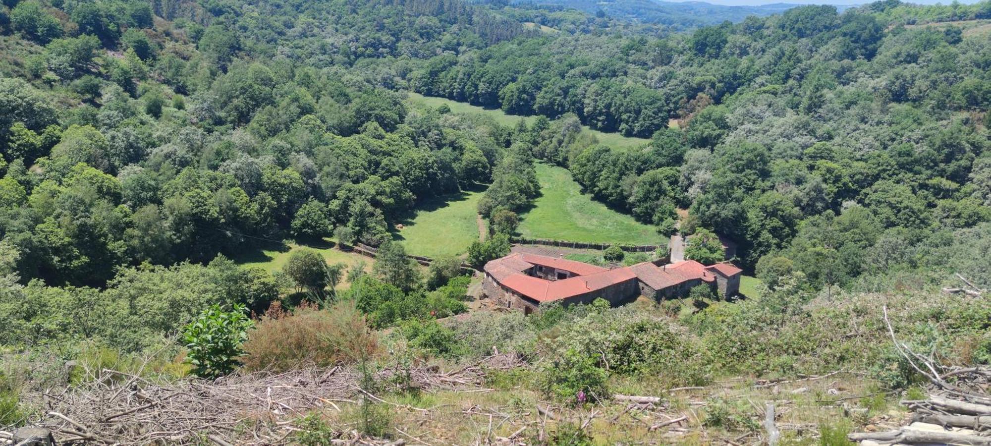 Casa Grande De Covas-Apartamentos Turisticos Taboada Экстерьер фото