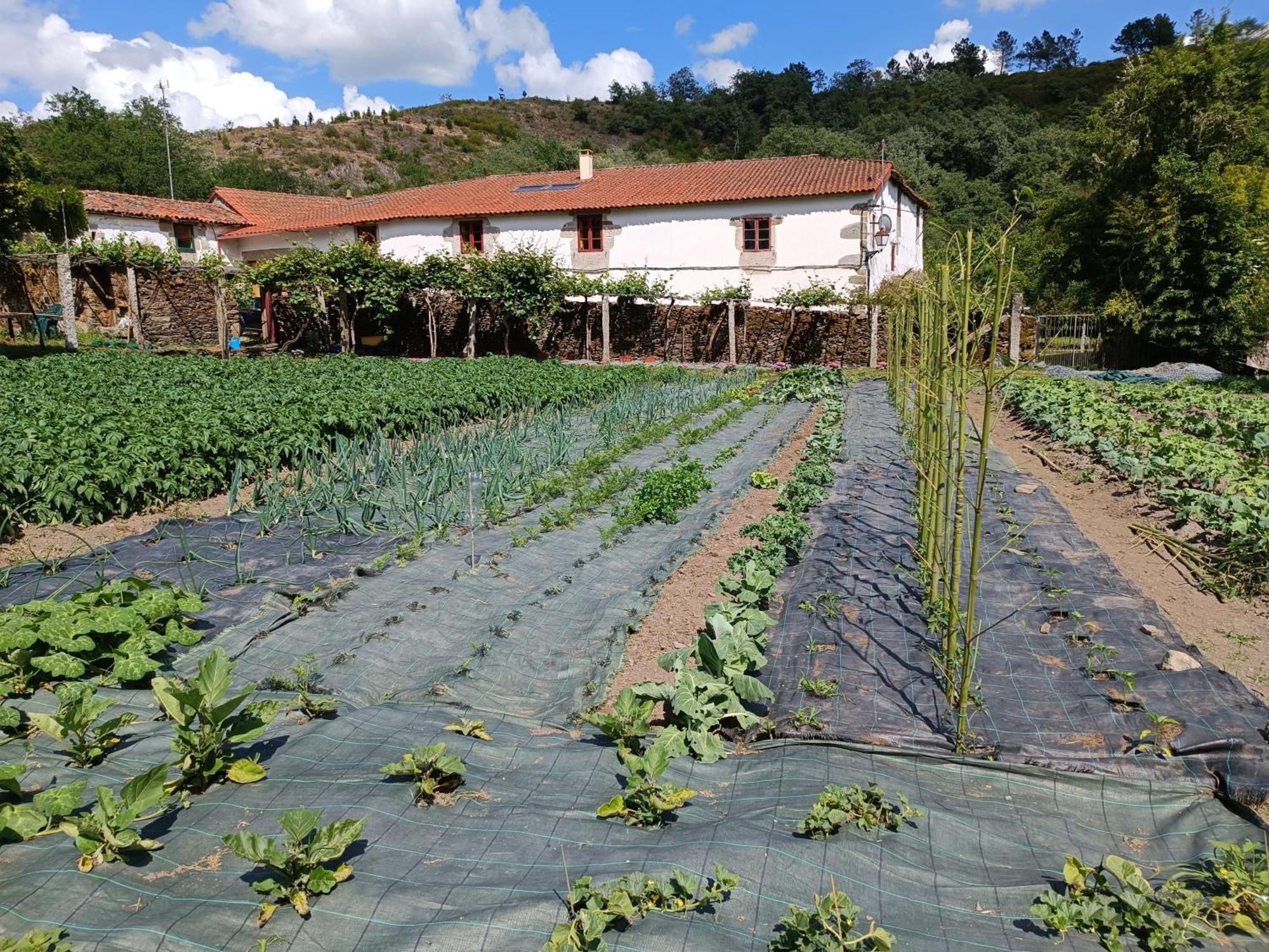 Casa Grande De Covas-Apartamentos Turisticos Taboada Экстерьер фото