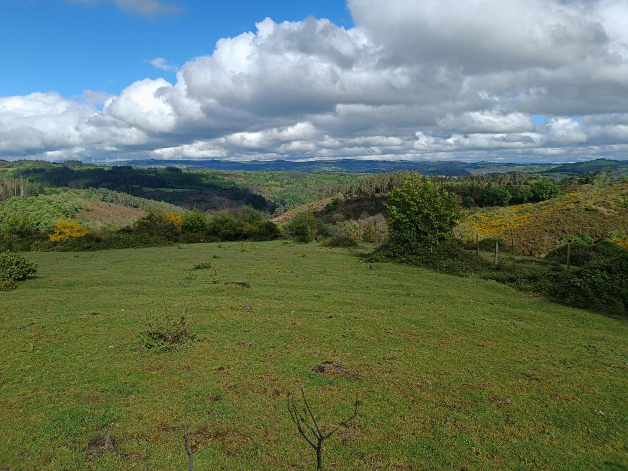 Casa Grande De Covas-Apartamentos Turisticos Taboada Экстерьер фото